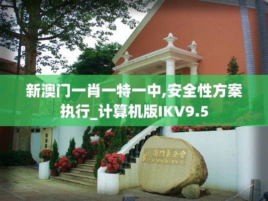 新澳門一肖一特一中,安全性方案執(zhí)行_計算機版IKV9.5