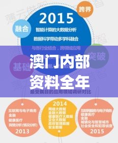 澳門內部資料全年免費精準,數據整合決策_硬核版FEV9.22