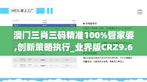 澳門三肖三碼精準100%管家婆,創新策略執行_業界版CRZ9.68