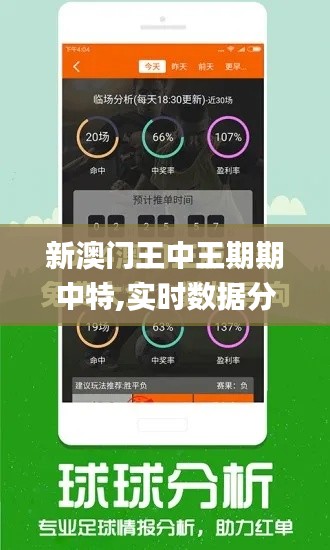 新澳門王中王期期中特,實時數據分析_稀缺版DXO9.58