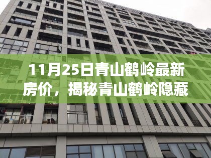 揭秘青山鶴嶺最新房價與神秘小巷特色小店魅力