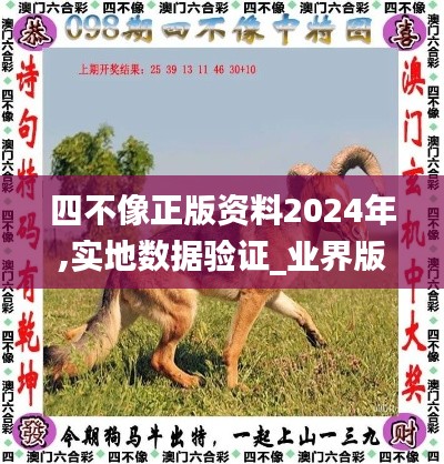 四不像正版資料2024年,實地數(shù)據(jù)驗證_業(yè)界版PEB9.18