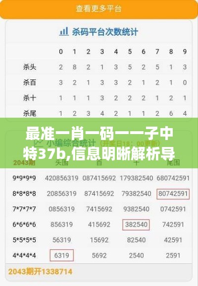 最準(zhǔn)一肖一碼一一子中特37b,信息明晰解析導(dǎo)向_星耀版GRV9.24
