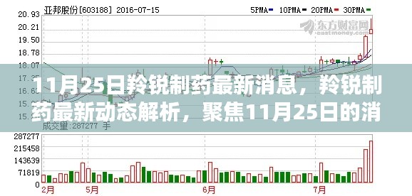 11月25日羚銳制藥最新動態解析，深度探討影響與前景