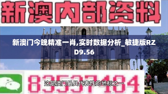 新澳門(mén)今晚精準(zhǔn)一肖,實(shí)時(shí)數(shù)據(jù)分析_敏捷版RZD9.56