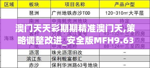 澳門天天彩期期精準(zhǔn)澳門天,策略調(diào)整改進(jìn)_安全版MFH9.63