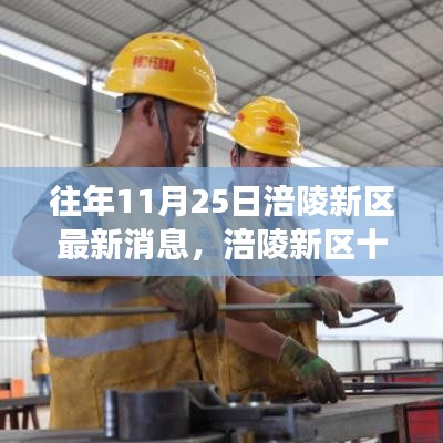 涪陵新區(qū)最新進(jìn)展報(bào)告，深度解讀三大要點(diǎn)，十一月二十五日最新消息速遞