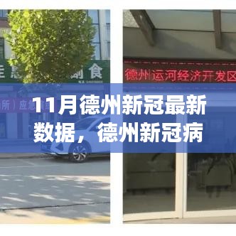 德州新冠病毒疫情最新數(shù)據(jù)報告（11月版），疫情現(xiàn)狀、變化與應(yīng)對策略揭秘