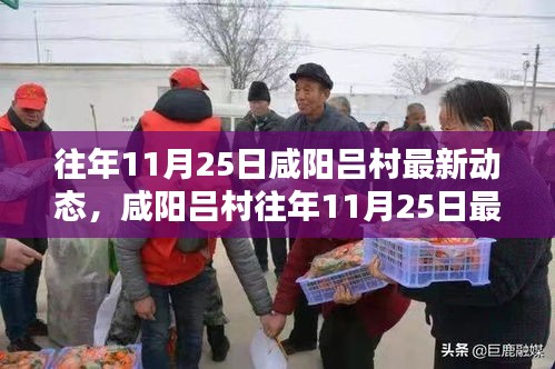 咸陽呂村11月25日最新動態深度解析與評測介紹