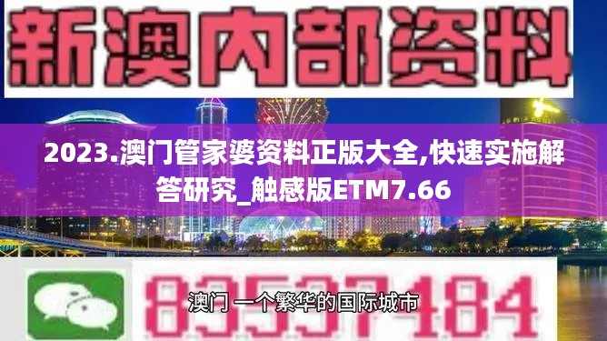 2023.澳門管家婆資料正版大全,快速實施解答研究_觸感版ETM7.66
