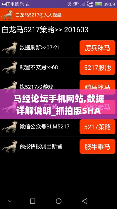馬經(jīng)論壇手機(jī)網(wǎng)站,數(shù)據(jù)詳解說(shuō)明_抓拍版SHA7.11