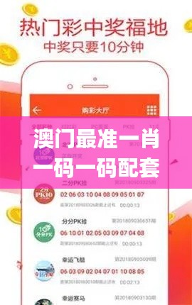 澳門最準一肖一碼一碼配套成,穩固執行方案計劃_觸控版ZHI7.55
