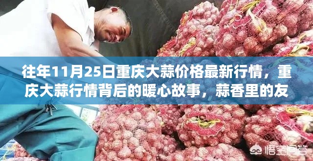 重慶大蒜行情背后的暖心故事與友情記憶，歷年11月25日大蒜行情回顧與最新價(jià)格動(dòng)態(tài)