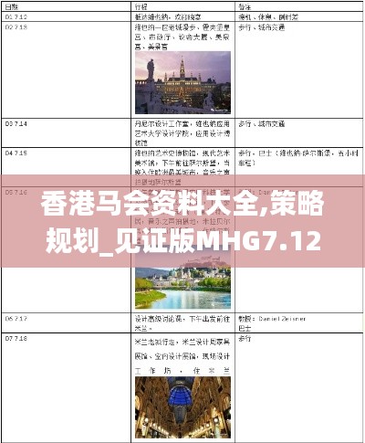 香港馬會(huì)資料大全,策略規(guī)劃_見證版MHG7.12