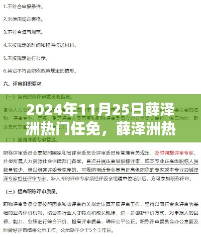 2024年11月25日薛澤洲熱門任免任務指南，初學者與進階用戶適用