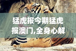 猛虎報今期猛虎報澳門,全身心解答具體_快捷版LTD7.45