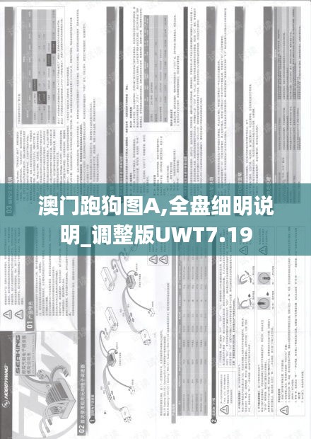 澳門(mén)跑狗圖A,全盤(pán)細(xì)明說(shuō)明_調(diào)整版UWT7.19