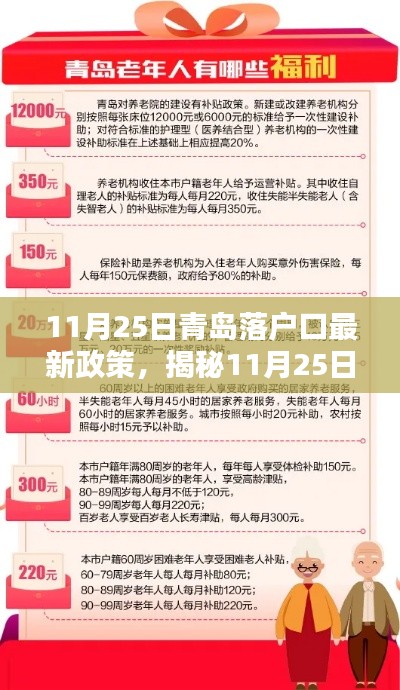揭秘，青島落戶口最新政策（11月25日版）——落戶青島的新機(jī)遇解析
