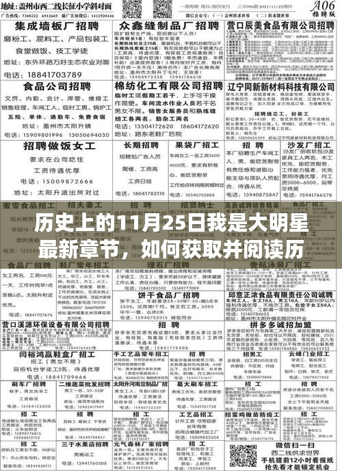 歷史上的11月25日，我是大明星最新章節獲取與閱讀指南
