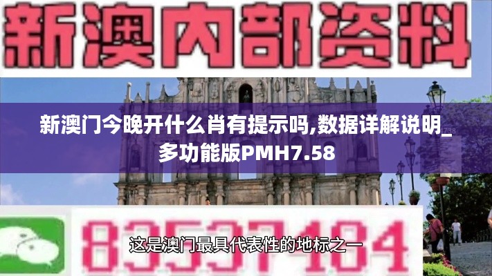 新澳門今晚開什么肖有提示嗎,數(shù)據(jù)詳解說明_多功能版PMH7.58