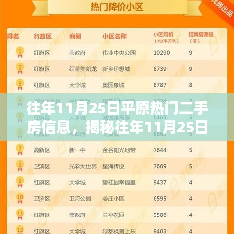 揭秘往年11月25日平原地區熱門二手房市場趨勢及房源信息解析