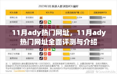 11月熱門網址大全，全面評測與介紹