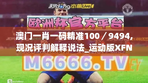 澳門一肖一碼精準100／9494,現況評判解釋說法_運動版XFN7.98