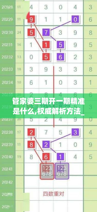 管家婆三期開一期精準是什么,權(quán)威解析方法_天然版NPV7.3