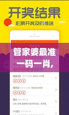 管家婆最準一碼一肖,數據引導執行策略_外觀版QWL7.88