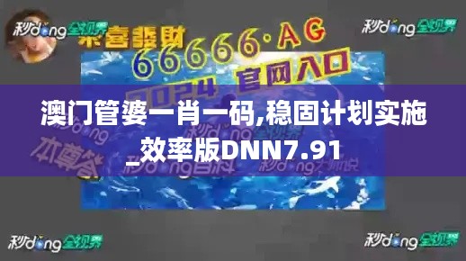 澳門管婆一肖一碼,穩(wěn)固計(jì)劃實(shí)施_效率版DNN7.91