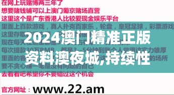 2024澳門精準正版資料澳夜城,持續(xù)性實施方案_透明版NMW7.17