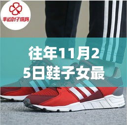 往年11月25日鞋子女最新選購指南，初學者與進階用戶的時尚舒適之選