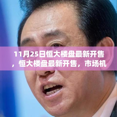 恒大樓盤最新開售，市場機遇下的多元解讀與樓市展望