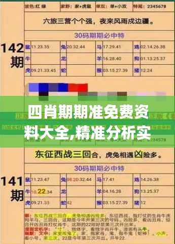 四肖期期準(zhǔn)免費(fèi)資料大全,精準(zhǔn)分析實(shí)踐_高效版ESN7.47