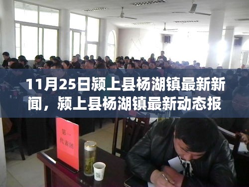 潁上縣楊湖鎮(zhèn)11月25日發(fā)展亮點及最新動態(tài)報道