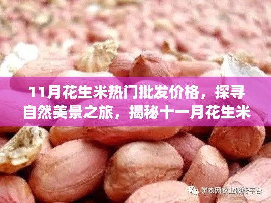 不求甚解 第4頁(yè)