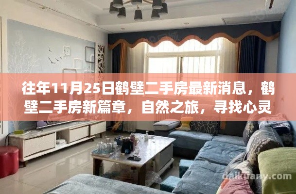 往年11月25日鶴壁二手房最新動態，心靈港灣的自然之旅