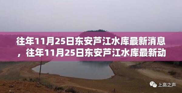 往年11月25日東安蘆江水庫最新動態(tài)概覽