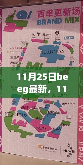 11月25日beeg最新，11月25日Beeg最新更新，深度探討其影響及觀點