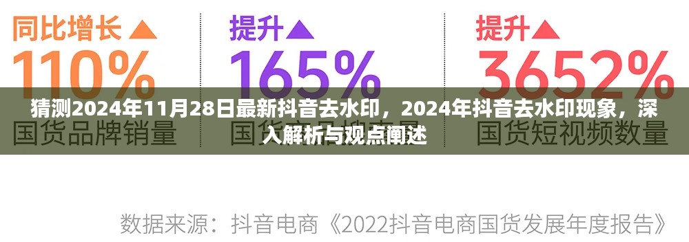 揭秘2024年抖音去水印現象，深度解析與觀點闡述，最新動態預測至11月28日