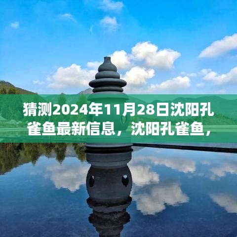 雍容華貴 第4頁