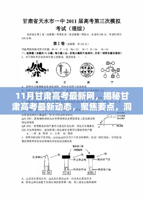 聚焦甘肅高考最新動態(tài)，揭秘要點、洞悉趨勢