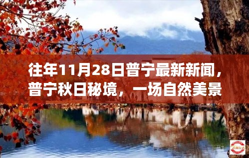普寧秋日秘境，自然美景的治愈之旅，探尋內心的寧靜與平和（最新新聞）