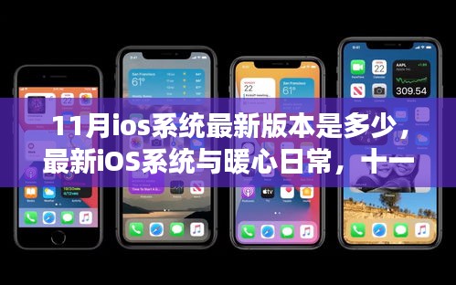 十一月iOS系統(tǒng)升級(jí)之旅，暖心日常與最新版本的探索