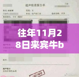 紆尊降貴 第4頁(yè)