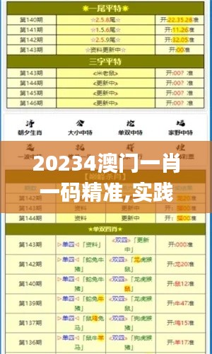 20234澳門一肖一碼精準(zhǔn),實(shí)踐調(diào)查說(shuō)明_習(xí)慣版NAN4.98