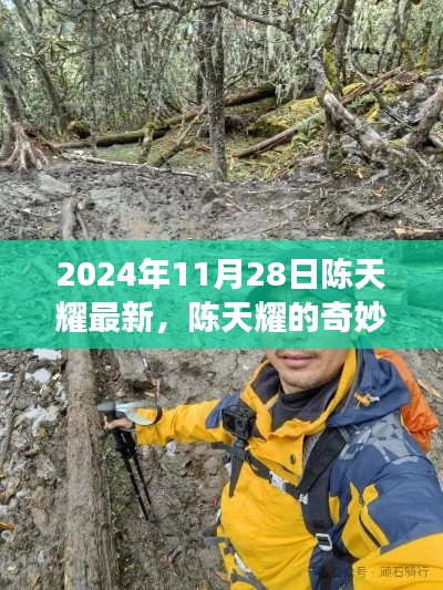 陳天耀的奇妙探險之旅，自然美景與內(nèi)心寧靜的雙重探索（2024年11月28日最新）