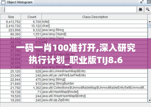 一碼一肖100準(zhǔn)打開,深入研究執(zhí)行計(jì)劃_職業(yè)版TIJ8.6