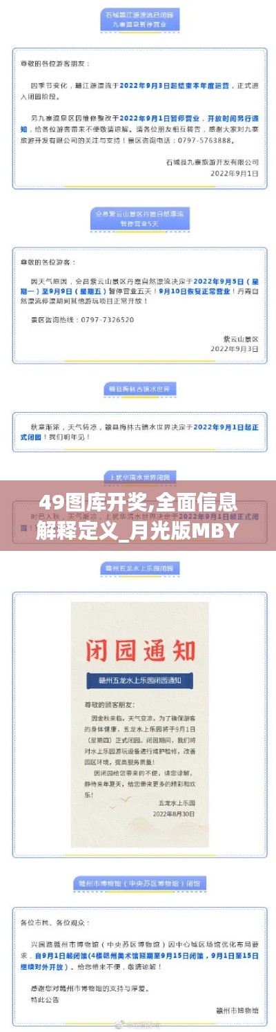 49圖庫開獎(jiǎng),全面信息解釋定義_月光版MBY4.1