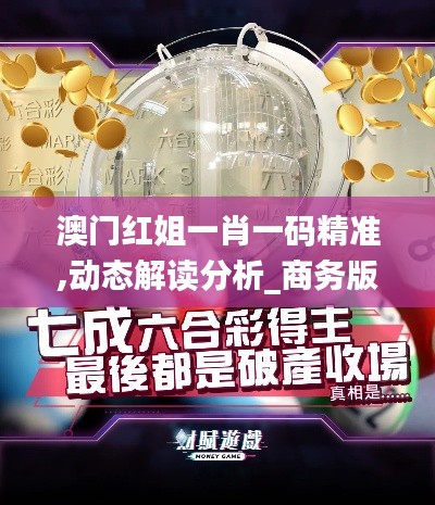 澳門紅姐一肖一碼精準,動態解讀分析_商務版ALX8.5